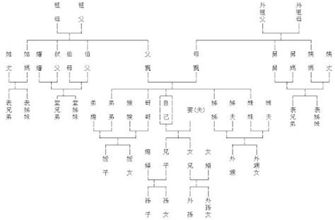 叔公幾等親|叔公算幾等親？一圖秒懂！